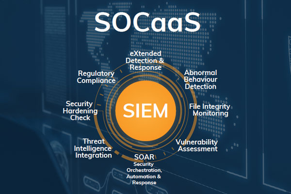 Initial Consultation and Assessment